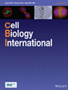 CELL BIOLOGY INTERNATIONAL杂志封面